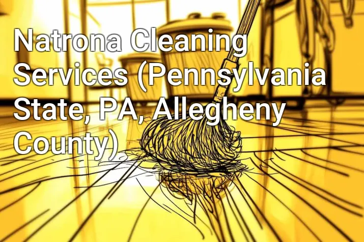 Natrona Cleaning Services (Pennsylvania State, PA, Allegheny County)