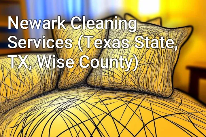 Newark Cleaning Services (Texas State, TX, Wise County)