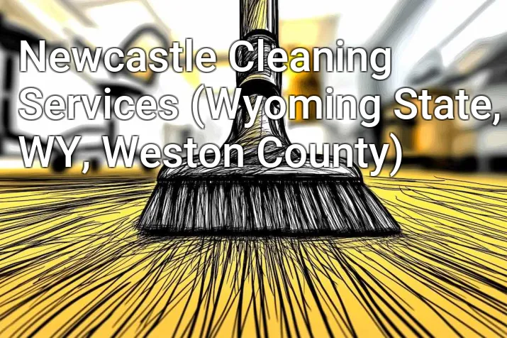 Newcastle Cleaning Services (Wyoming State, WY, Weston County)
