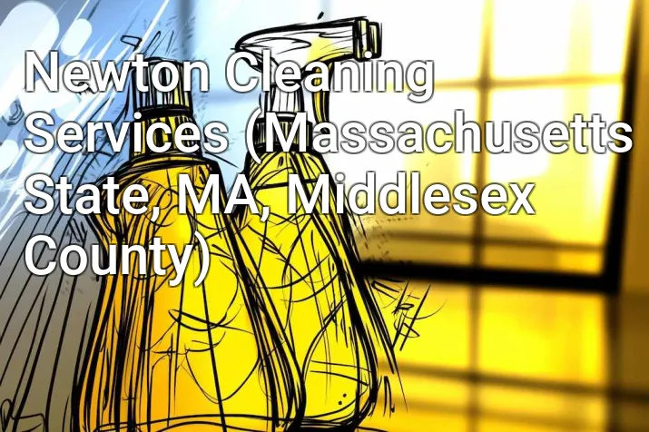 Newton Cleaning Services (Massachusetts State, MA, Middlesex County)