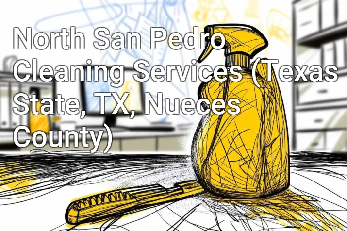 North San Pedro Cleaning Services (Texas State, TX, Nueces County)
