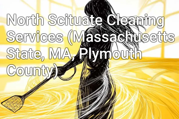 North Scituate Cleaning Services (Massachusetts State, MA, Plymouth County)