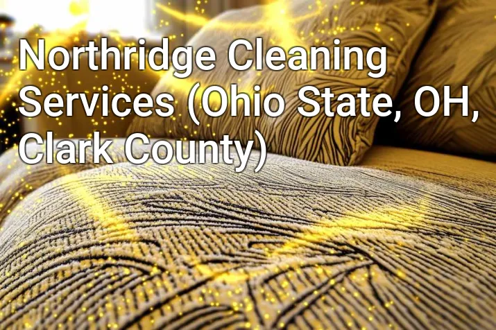Northridge Cleaning Services (Ohio State, OH, Clark County)