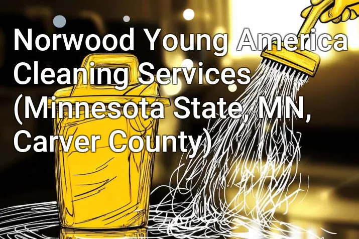 Norwood Young America Cleaning Services (Minnesota State, MN, Carver County)