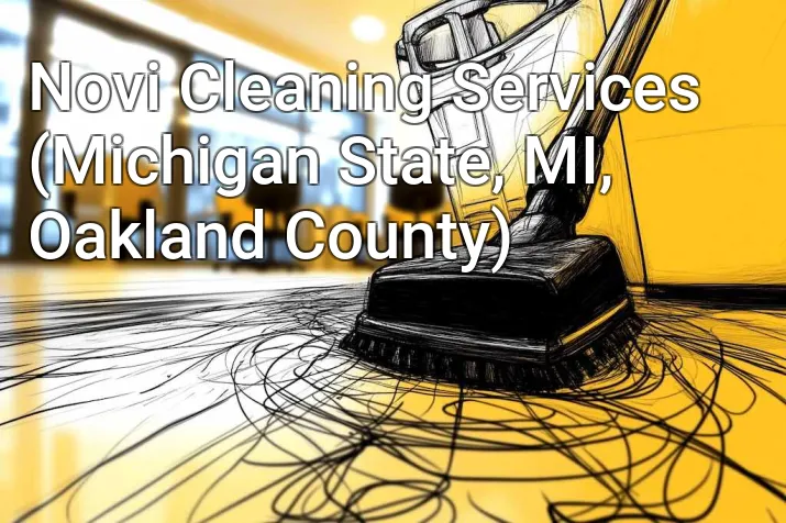 Novi Cleaning Services (Michigan State, MI, Oakland County)