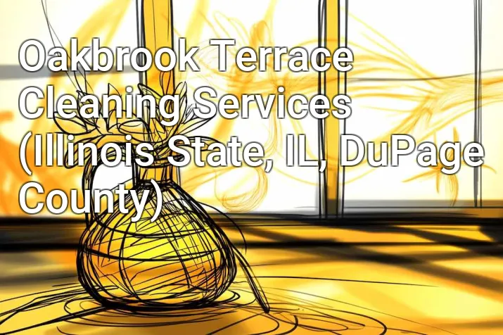 Oakbrook Terrace Cleaning Services (Illinois State, IL, DuPage County)