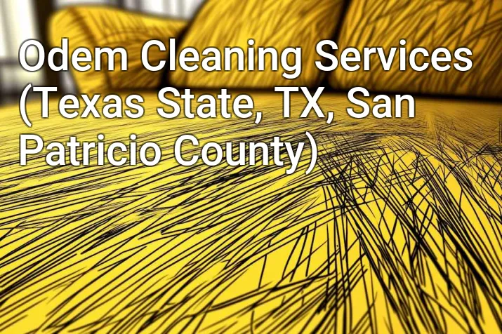 Odem Cleaning Services (Texas State, TX, San Patricio County)