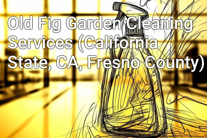 Old Fig Garden Cleaning Services (California State, CA, Fresno County)