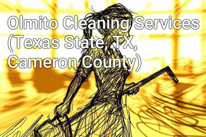 Olmito Cleaning Services (Texas State, TX, Cameron County)