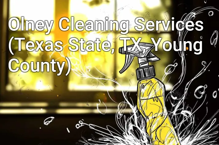 Olney Cleaning Services (Texas State, TX, Young County)