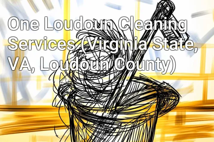 One Loudoun Cleaning Services (Virginia State, VA, Loudoun County)