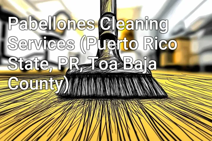 Pabellones Cleaning Services (Puerto Rico State, PR, Toa Baja County)