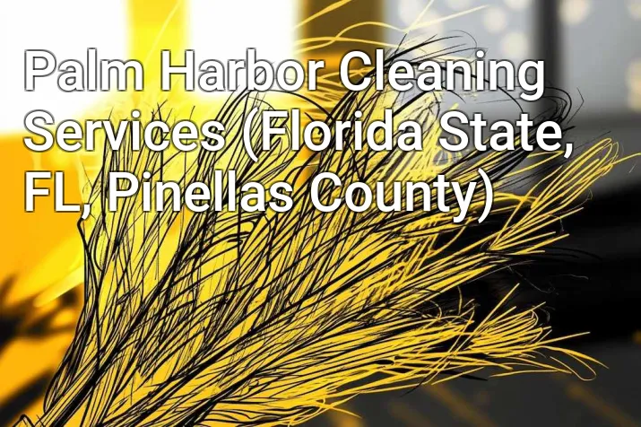 Palm Harbor Cleaning Services (Florida State, FL, Pinellas County)