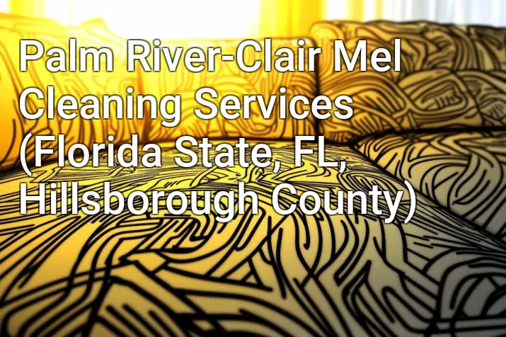 Palm River-Clair Mel Cleaning Services (Florida State, FL, Hillsborough County)