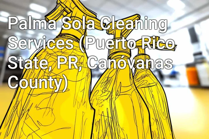 Palma Sola Cleaning Services (Puerto Rico State, PR, Canóvanas County)