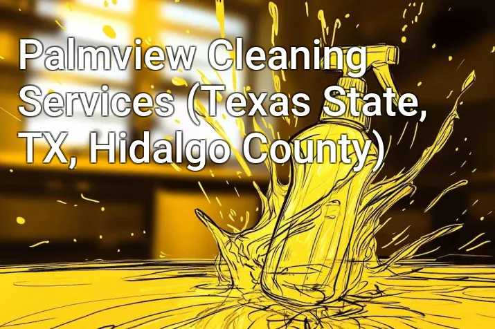 Palmview Cleaning Services (Texas State, TX, Hidalgo County)