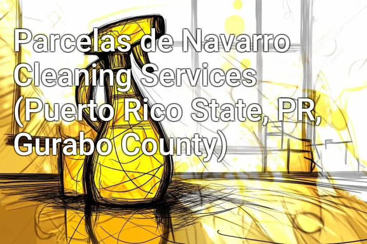 Parcelas de Navarro Cleaning Services (Puerto Rico State, PR, Gurabo County)