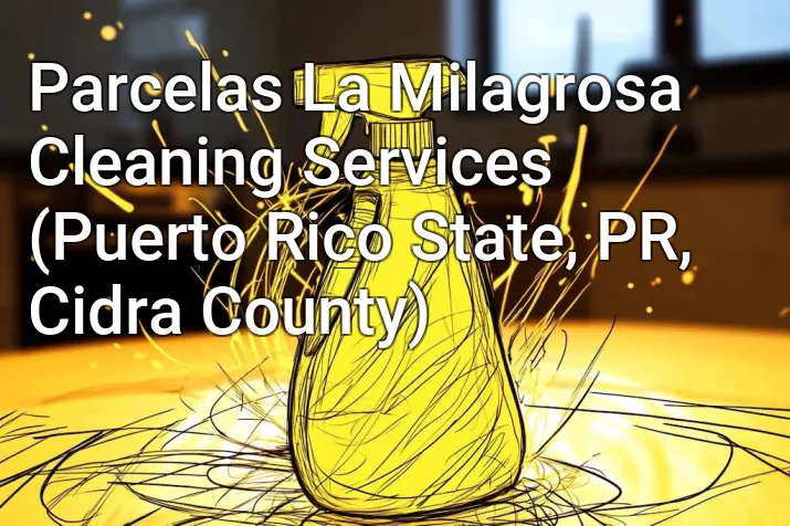 Parcelas La Milagrosa Cleaning Services (Puerto Rico State, PR, Cidra County)