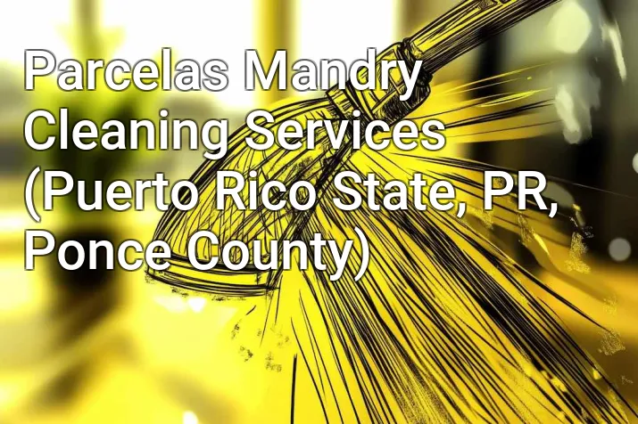Parcelas Mandry Cleaning Services (Puerto Rico State, PR, Ponce County)