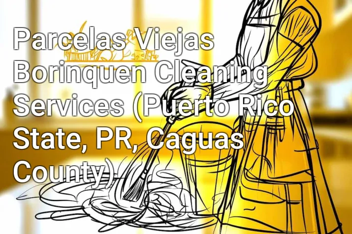 Parcelas Viejas Borinquen Cleaning Services (Puerto Rico State, PR, Caguas County)