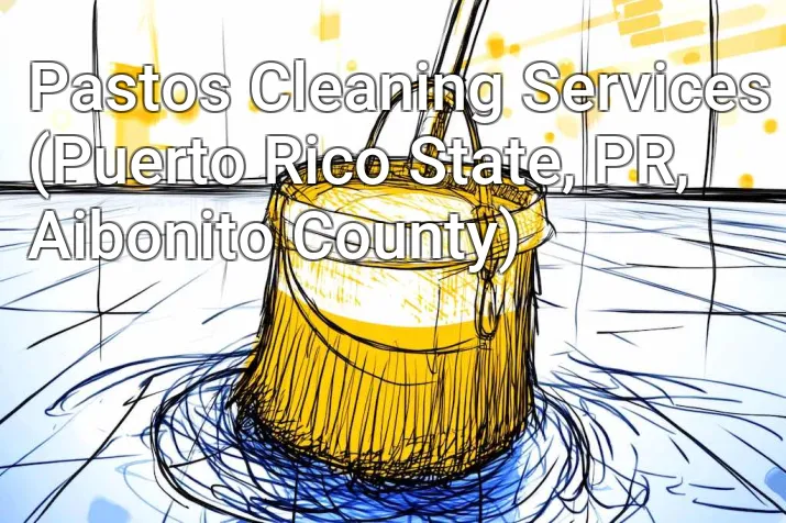 Pastos Cleaning Services (Puerto Rico State, PR, Aibonito County)