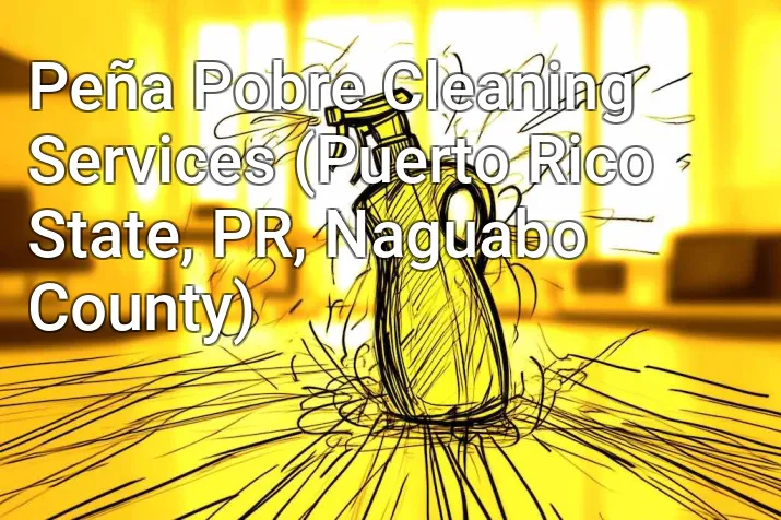 Peña Pobre Cleaning Services (Puerto Rico State, PR, Naguabo County)