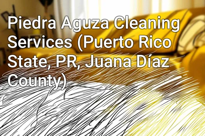 Piedra Aguza Cleaning Services (Puerto Rico State, PR, Juana Díaz County)