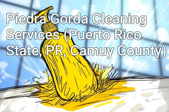 Piedra Gorda Cleaning Services (Puerto Rico State, PR, Camuy County)
