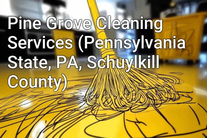 Pine Grove Cleaning Services (Pennsylvania State, PA, Schuylkill County)