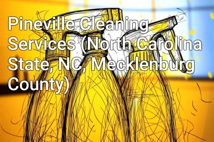 Pineville Cleaning Services (North Carolina State, NC, Mecklenburg County)