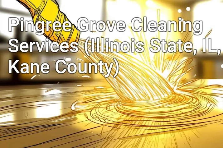 Pingree Grove Cleaning Services (Illinois State, IL, Kane County)