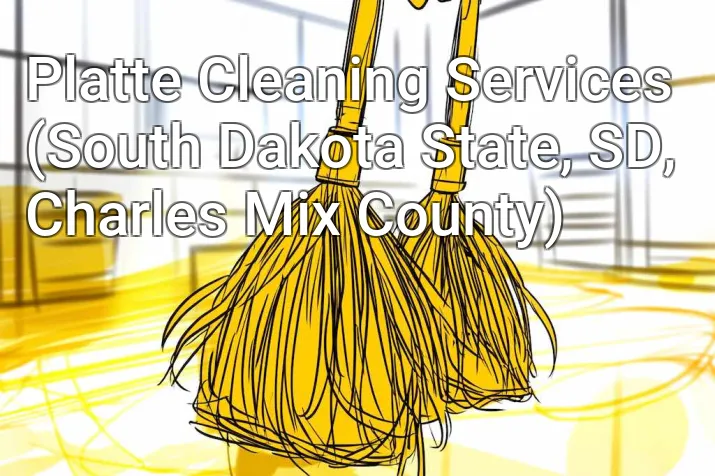 Platte Cleaning Services (South Dakota State, SD, Charles Mix County)
