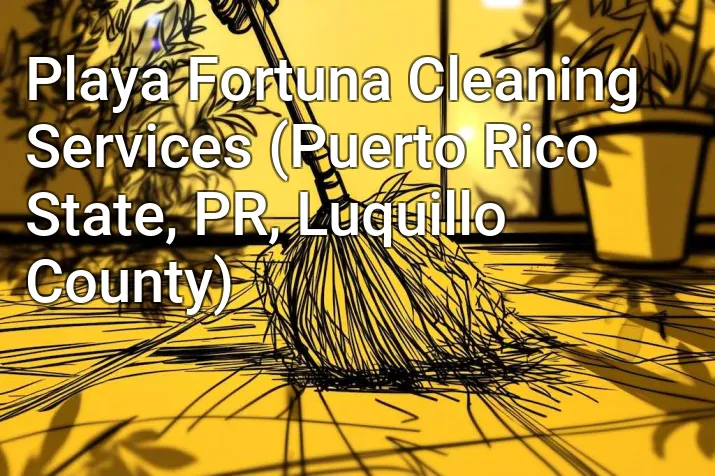 Playa Fortuna Cleaning Services (Puerto Rico State, PR, Luquillo County)