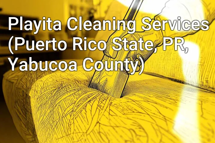 Playita Cleaning Services (Puerto Rico State, PR, Yabucoa County)