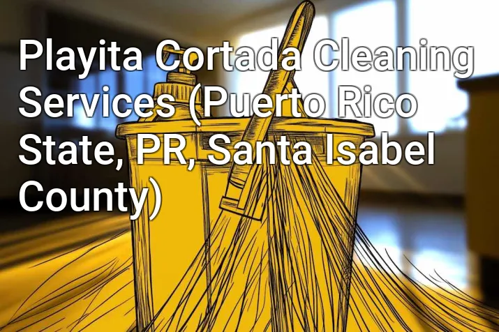 Playita Cortada Cleaning Services (Puerto Rico State, PR, Santa Isabel County)