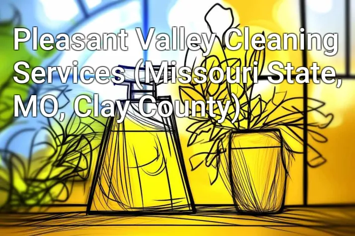 Pleasant Valley Cleaning Services (Missouri State, MO, Clay County)