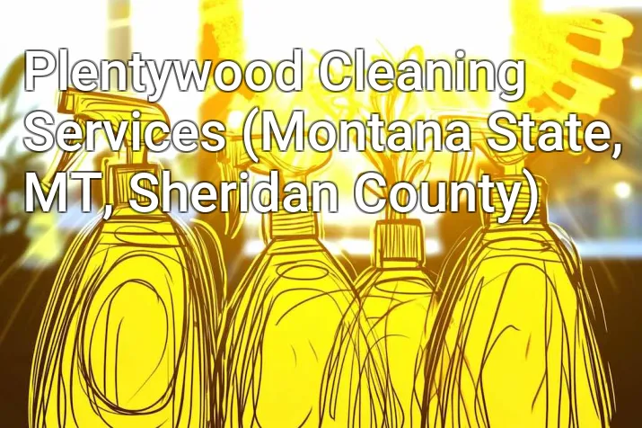 Plentywood Cleaning Services (Montana State, MT, Sheridan County)