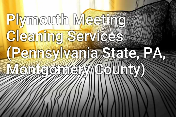 Plymouth Meeting Cleaning Services (Pennsylvania State, PA, Montgomery County)
