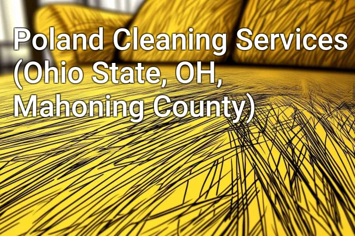 Poland Cleaning Services (Ohio State, OH, Mahoning County)