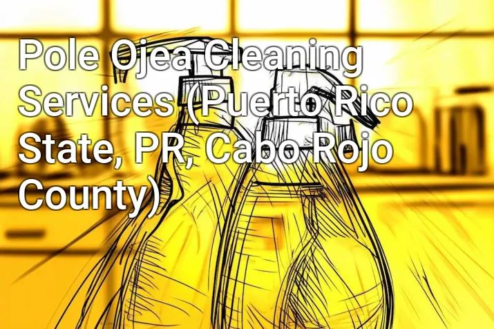 Pole Ojea Cleaning Services (Puerto Rico State, PR, Cabo Rojo County)