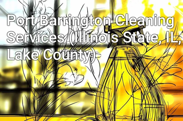 Port Barrington Cleaning Services (Illinois State, IL, Lake County)