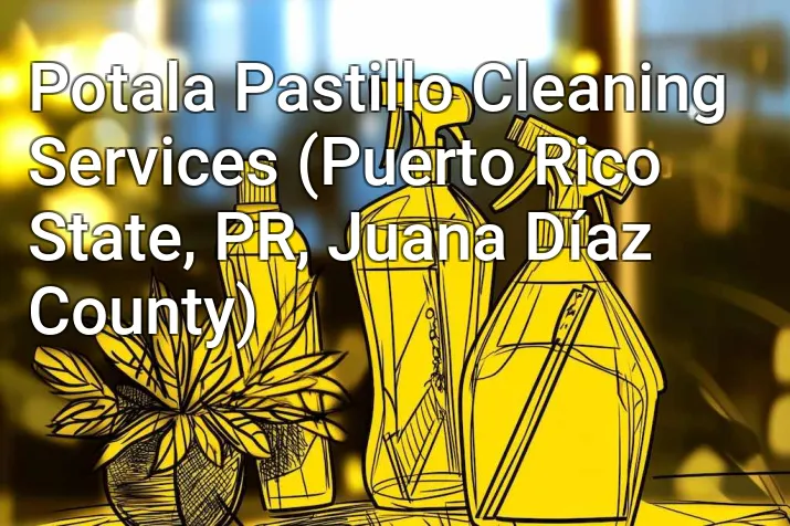 Potala Pastillo Cleaning Services (Puerto Rico State, PR, Juana Díaz County)