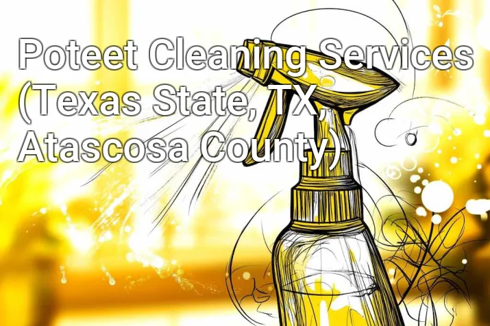 Poteet Cleaning Services (Texas State, TX, Atascosa County)
