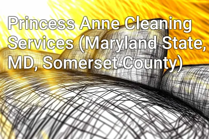 Princess Anne Cleaning Services (Maryland State, MD, Somerset County)