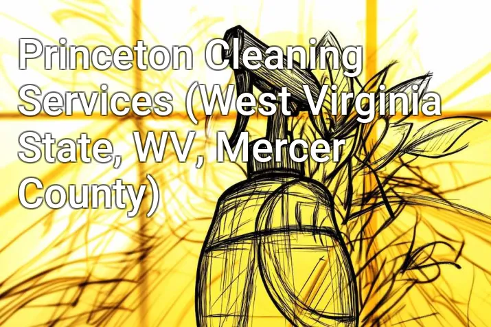Princeton Cleaning Services (West Virginia State, WV, Mercer County)