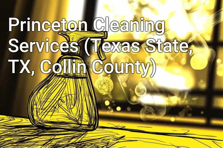 Princeton Cleaning Services (Texas State, TX, Collin County)