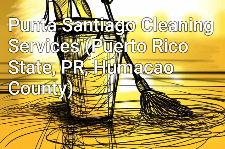 Punta Santiago Cleaning Services (Puerto Rico State, PR, Humacao County)