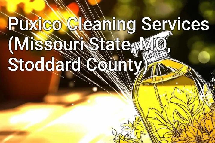 Puxico Cleaning Services (Missouri State, MO, Stoddard County)