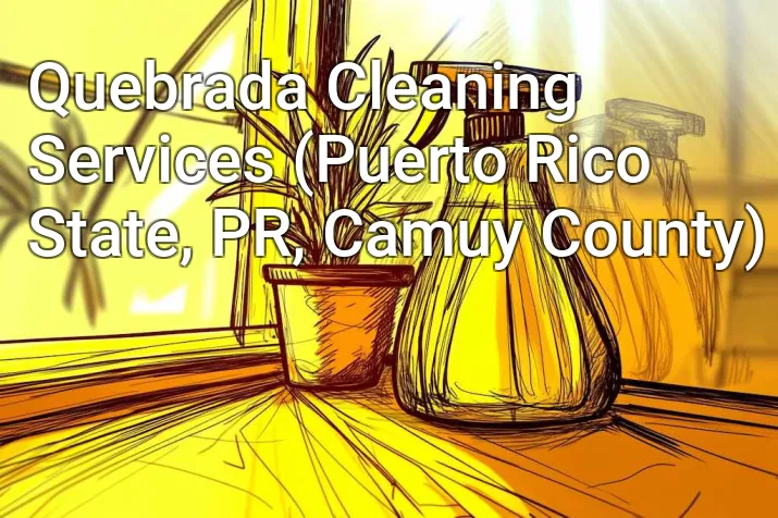Quebrada Cleaning Services (Puerto Rico State, PR, Camuy County)
