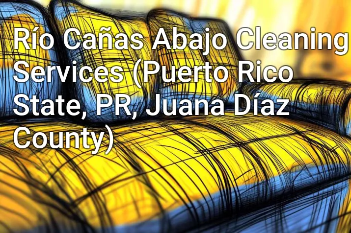 Río Cañas Abajo Cleaning Services (Puerto Rico State, PR, Juana Díaz County)